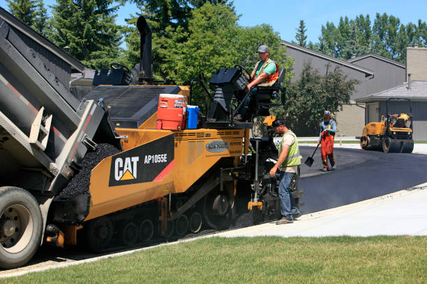 Best Custom Driveway Design and Paving in Palmhurst, TX